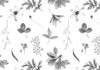 Black and White Plants and Leaves Pattern White BG Seamless (WA - 1201153)