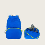Earl Foldable Backpack