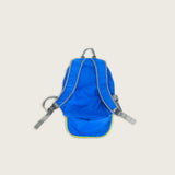 Earl Foldable Backpack