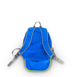 EARL Foldable Backpack